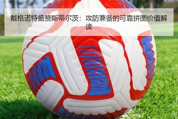 戴格诺特盛赞斯蒂尔茨：攻防兼备的可靠拼图价值解读